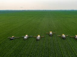 Nathan Smith Realtor