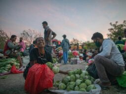 Global Food Security