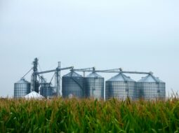 grain preservation technology