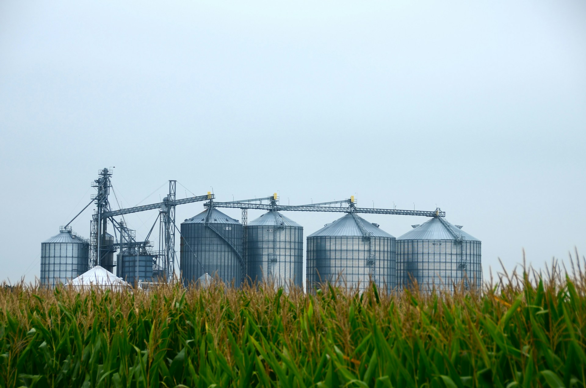 grain preservation technology