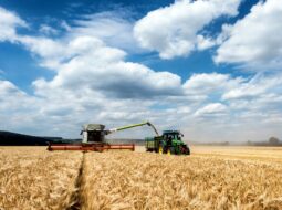 Nathan Smith Farms Ltd.