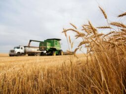 Nathan Smith Farms Ltd.