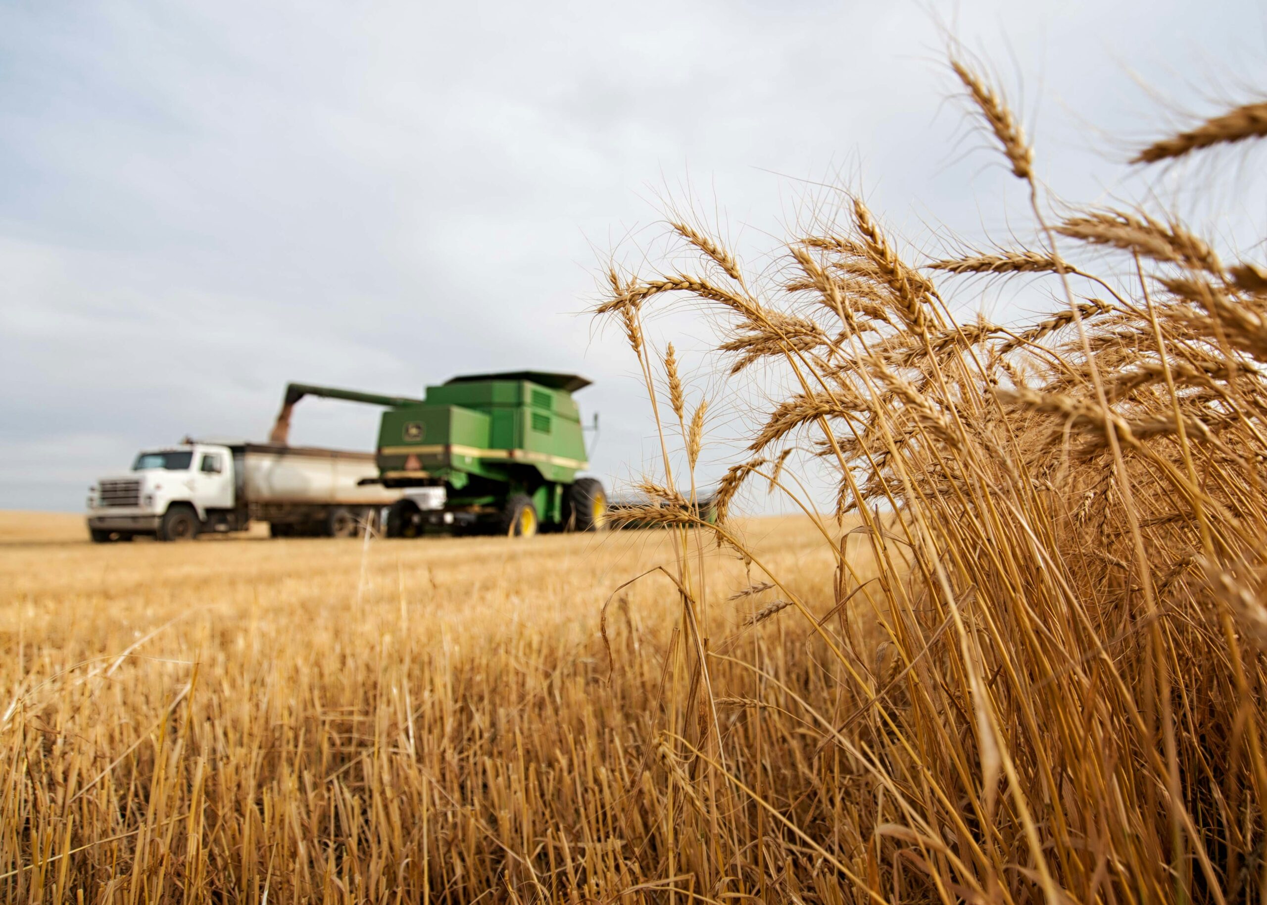 Nathan Smith Farms Ltd.