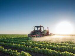 sustainable farming