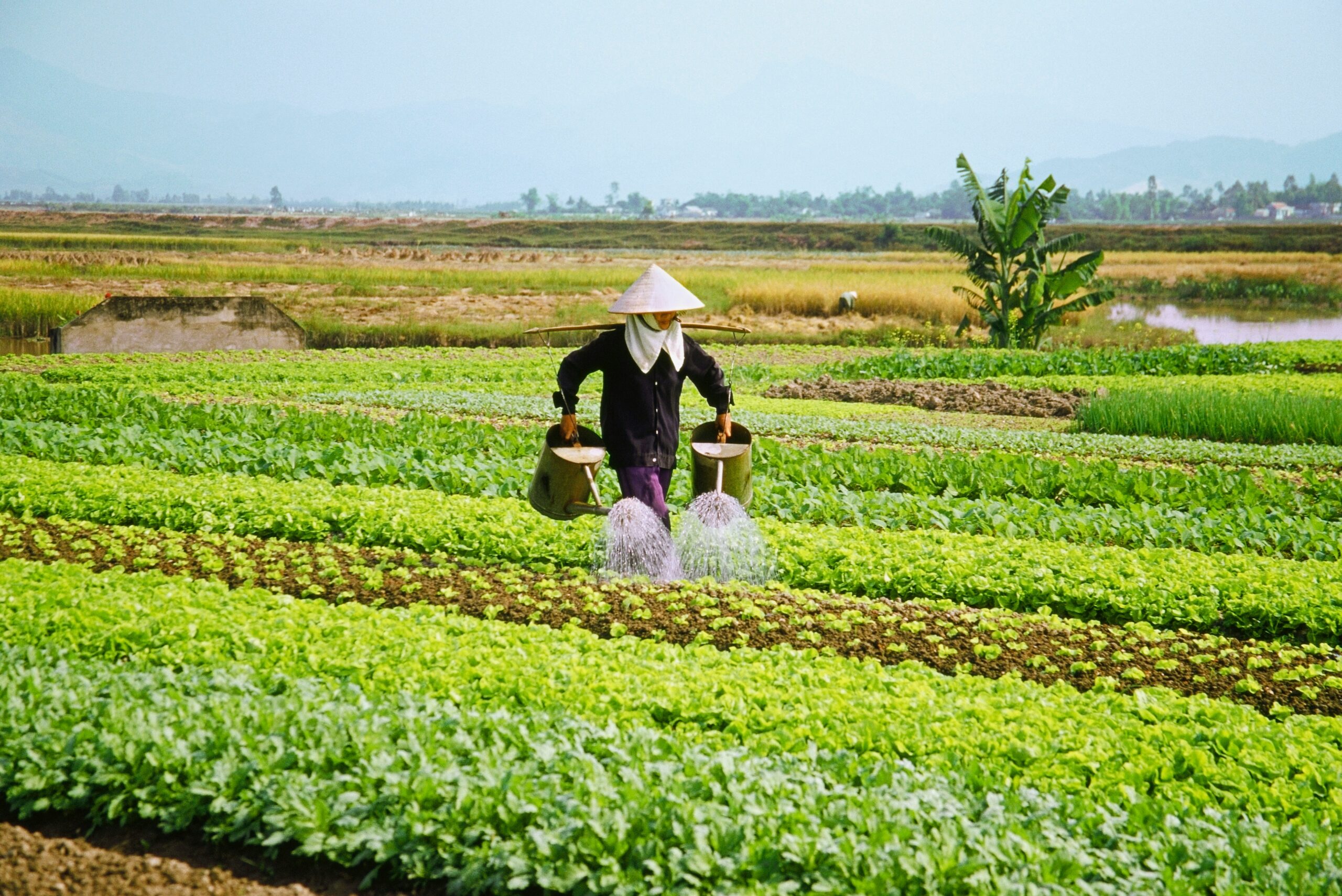 Nathan Smith Farms Ltd:Sustainable Farming