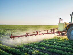 Nathan Smith Farms Ltd.