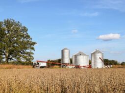 Nathan Smith Farms Ltd.