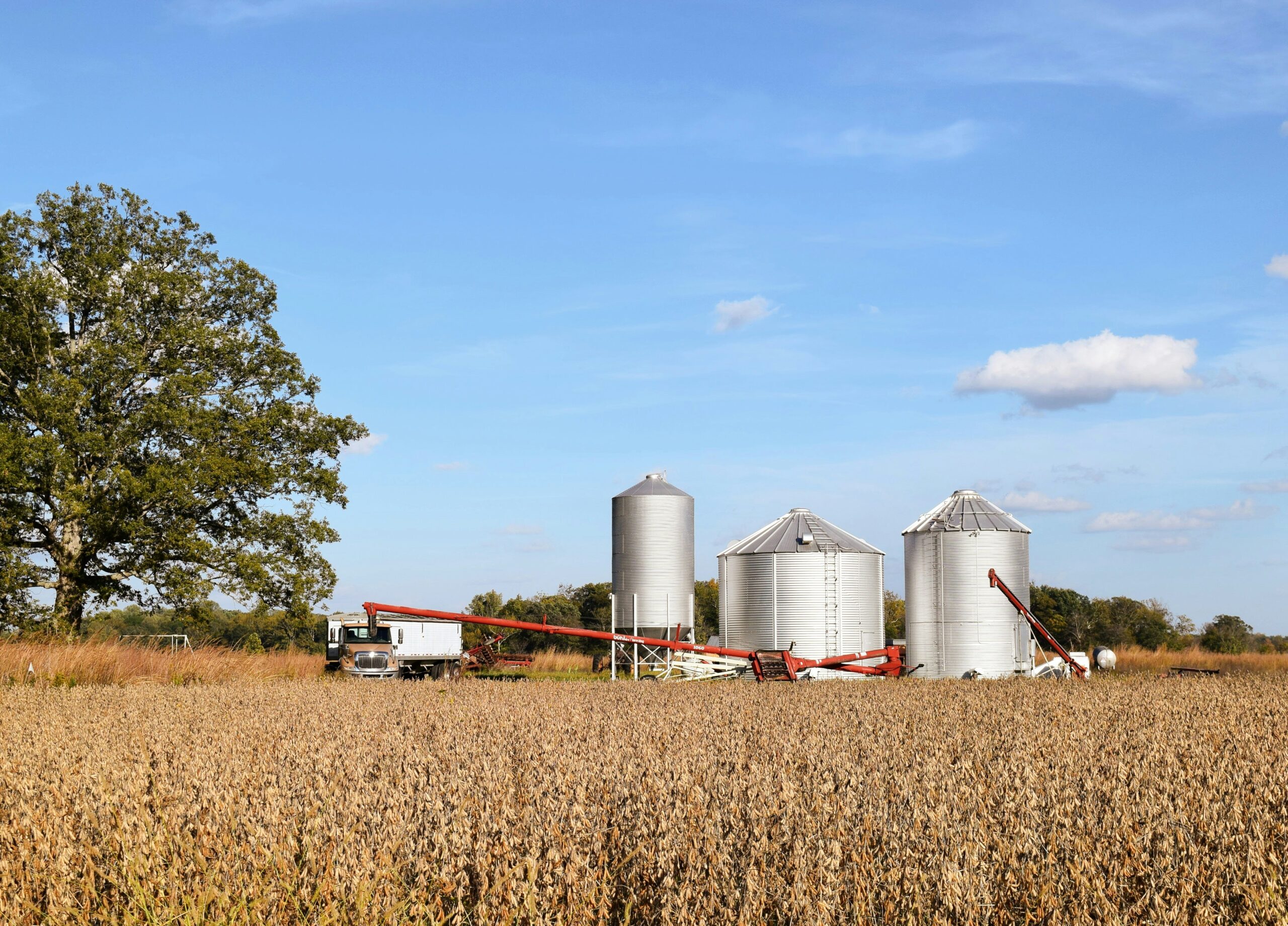 Nathan Smith Farms Ltd.
