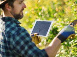 tech driven agriculture