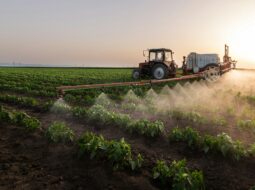 Modern Agriculture