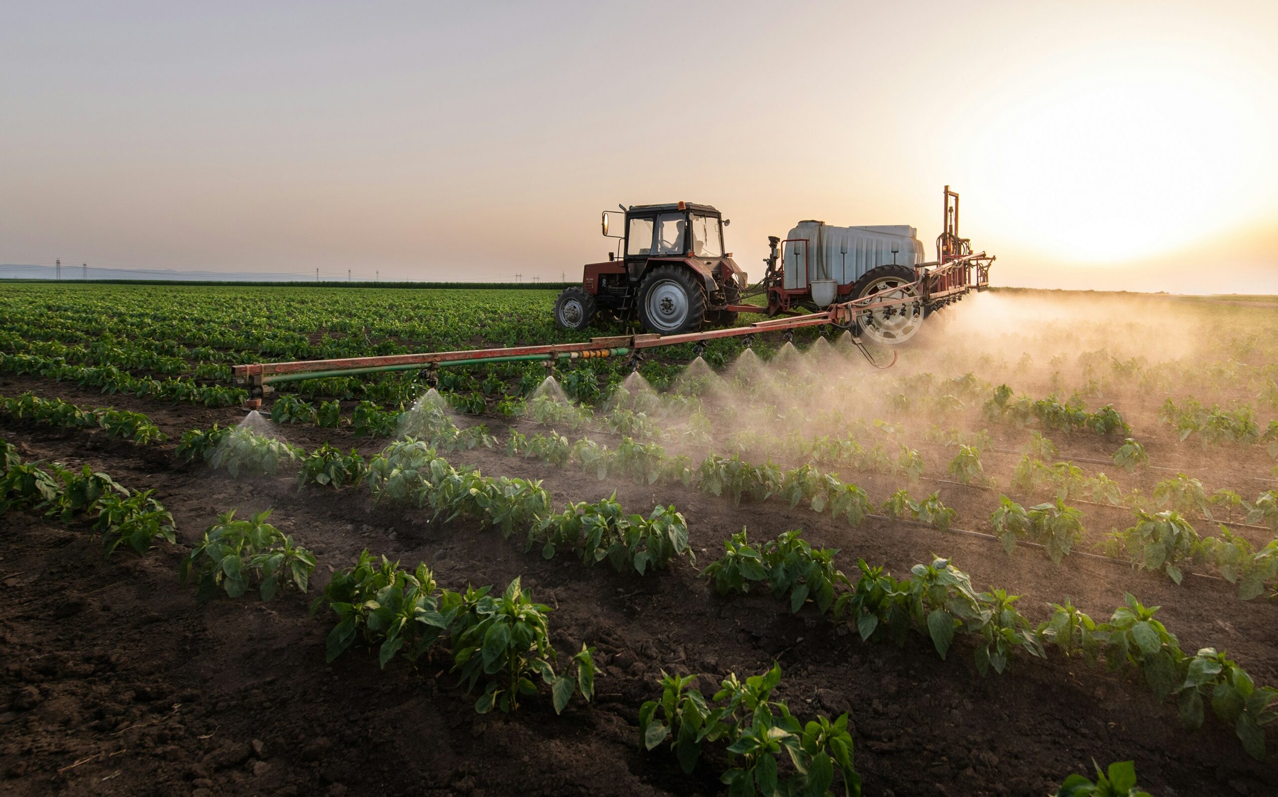 Modern Agriculture