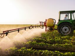 Future of Agriculture