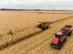 Aerial view of agricultural machinery harvesting grain in a large farm field, showcasing modern farming operations and crop production.