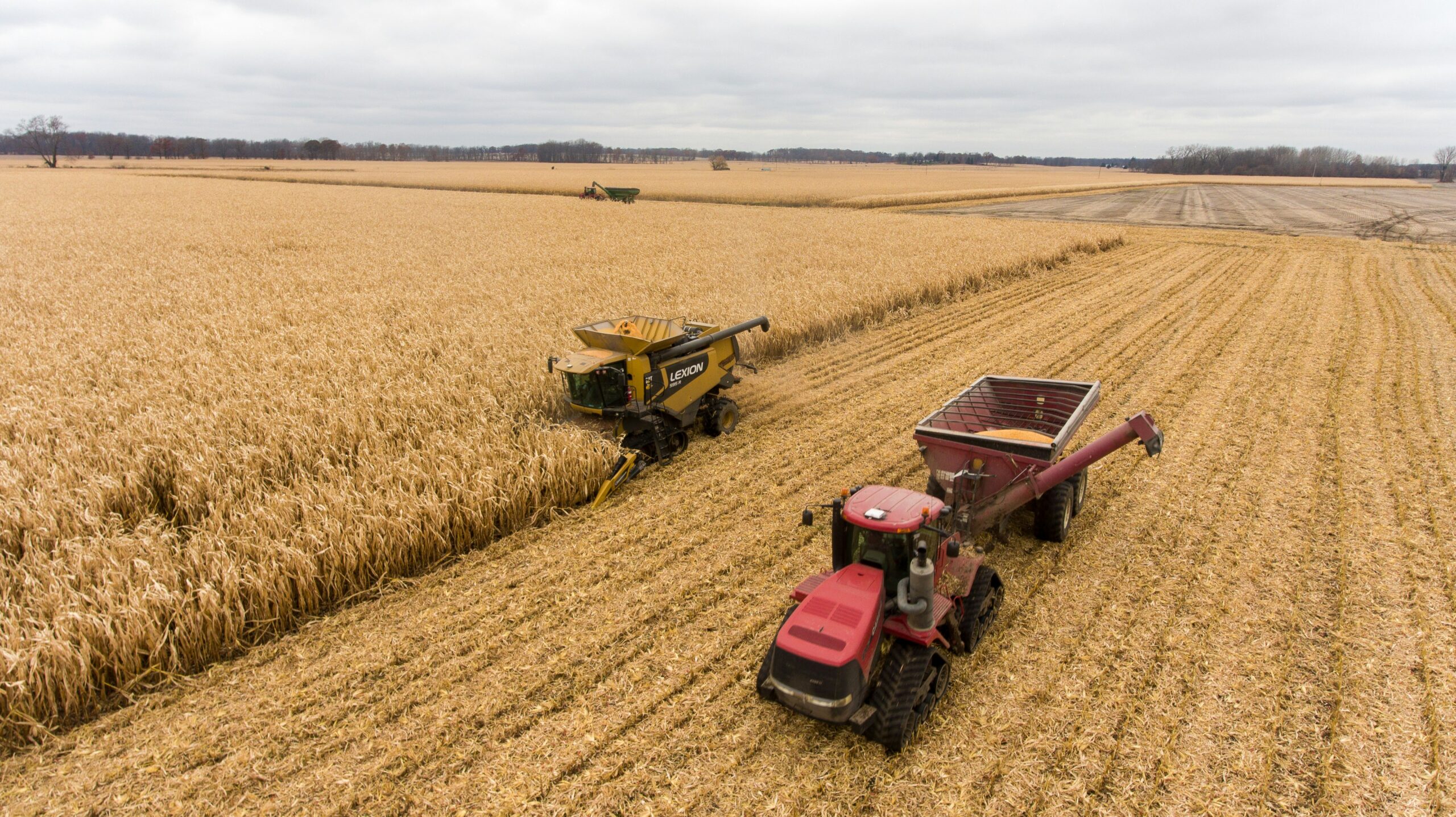 Aerial view of agricultural machinery harvesting grain in a large farm field, showcasing modern farming operations and crop production.