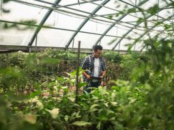 Sustainable Farming