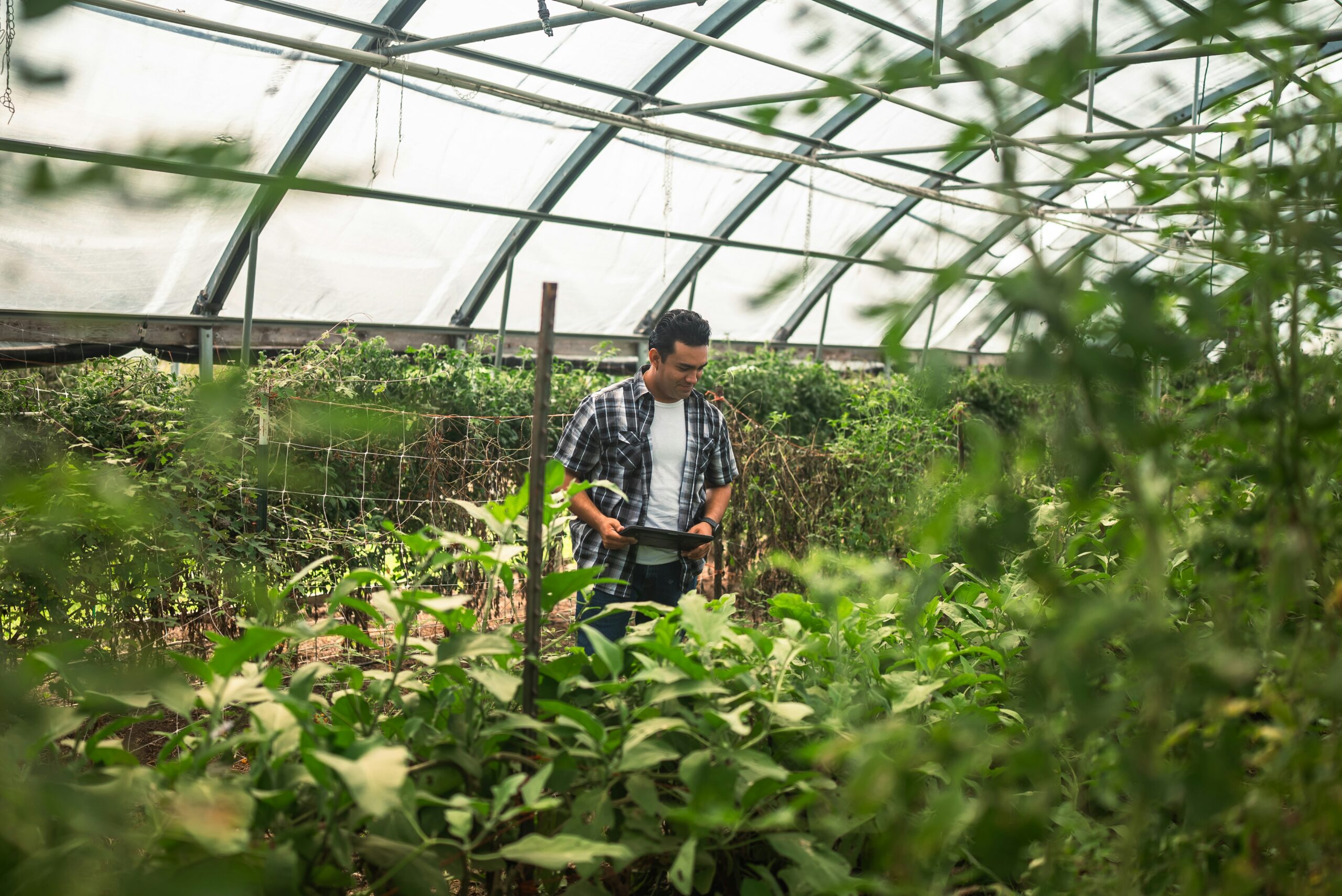 Sustainable Farming